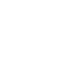 Mini-Logo-white Mini-Logo-white